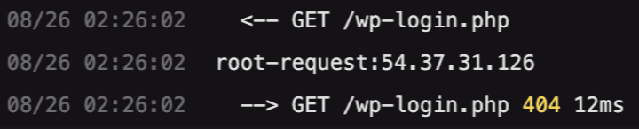 ddos-log-2